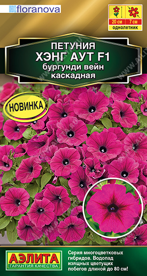 Хэнг аут бургунди вейн