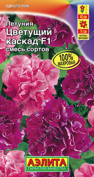 Цветущий каскад