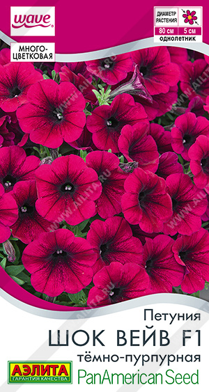 Шок вейв темно-пурпурная