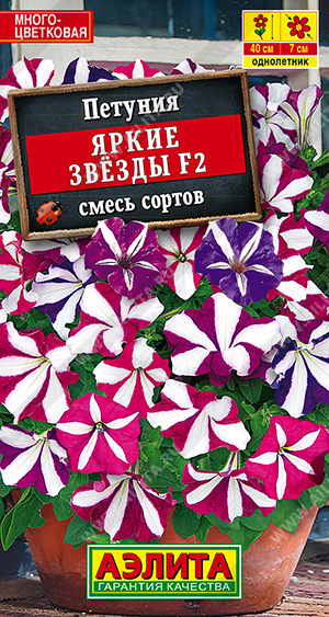 Яркие звезды 