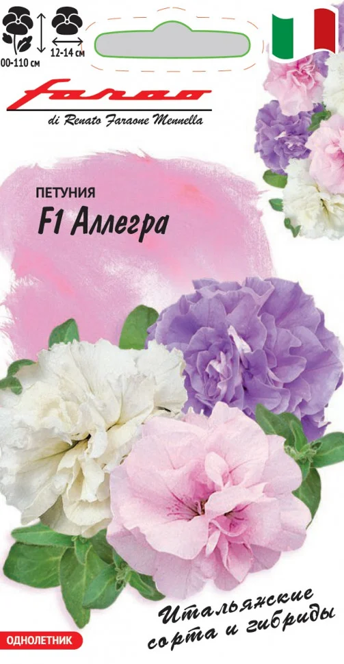 Аллегра