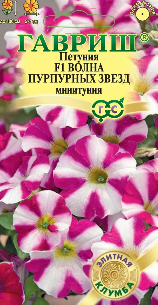 Волна Пурпурных звёзд