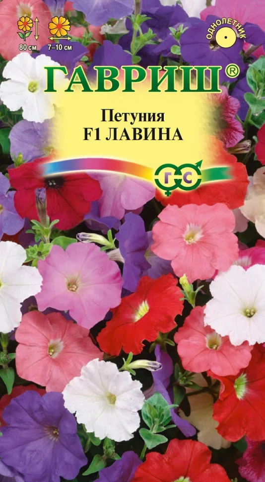 Миниатюра изображения сорта Лавина