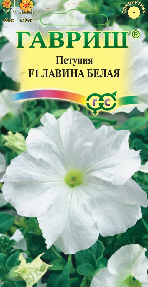Лавина белая