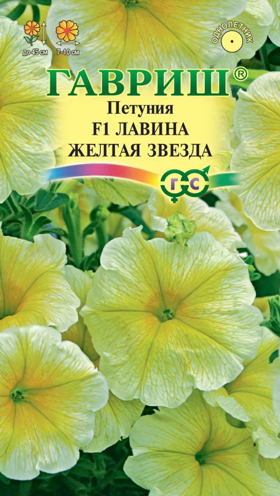 Лавина Желтая Звезда