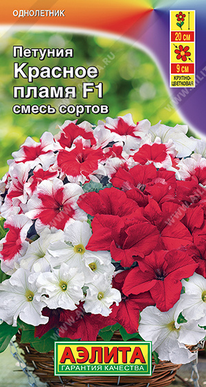 Красное море