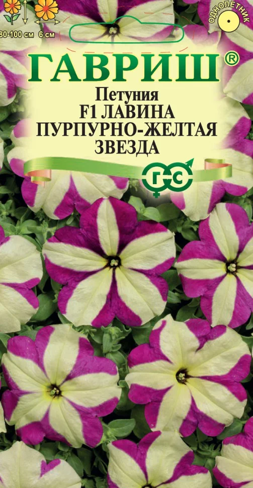 Лавина Пурпурно-желтая Звезда