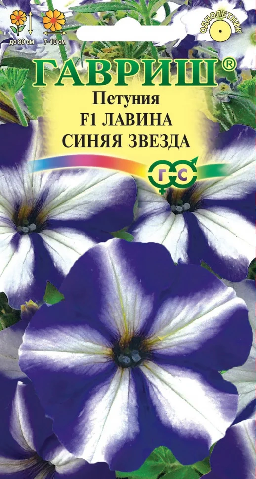 Лавина Синяя Звезда