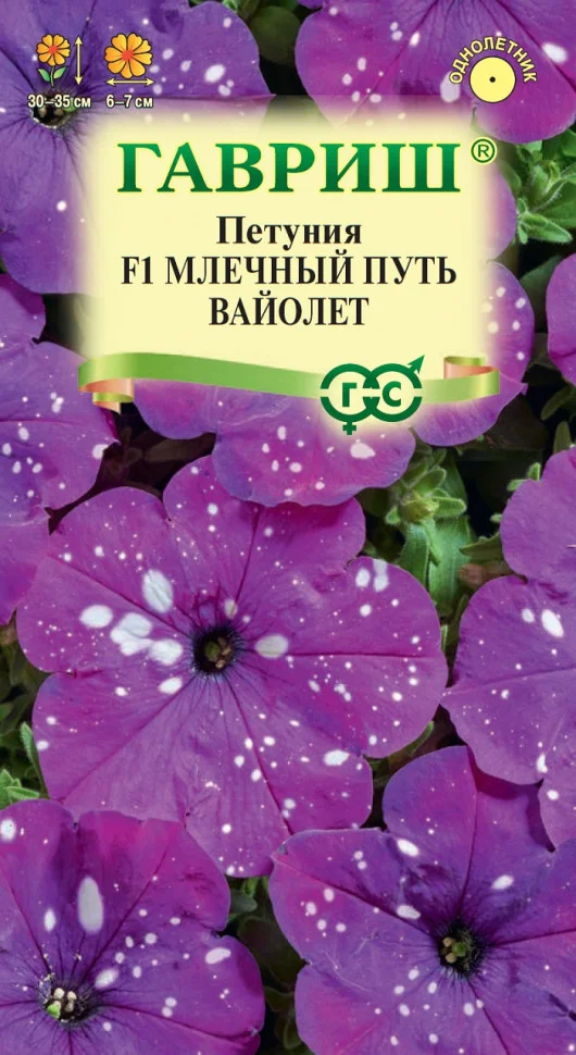 Млечный Путь Вайолет