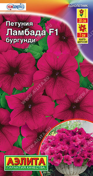 Ламбада Бургунди