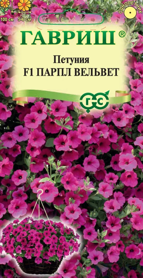 Парпл Вельвет