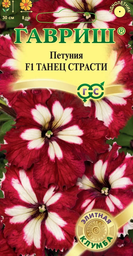 Танец страсти