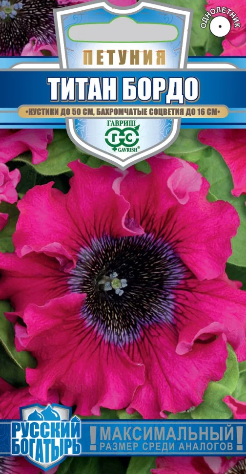 Титан Бордо