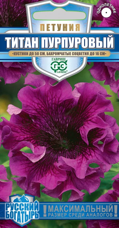 Титан Пурпуровый