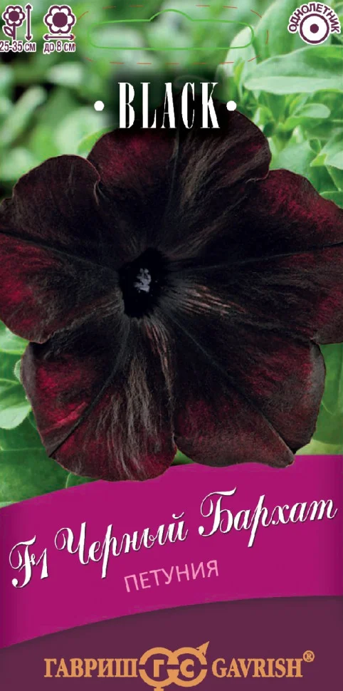 Черный бархат