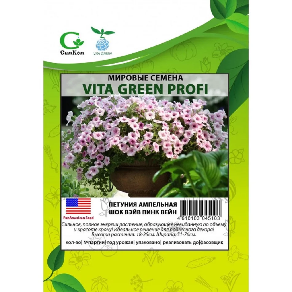 Шок Вейв Пинк Вейн