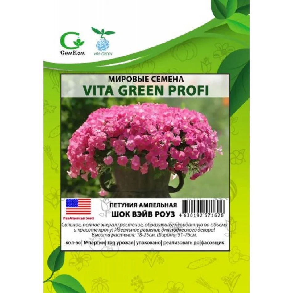 Шок Вейв Роуз