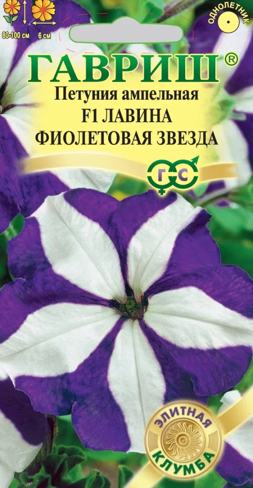 Фиолетовая звезда