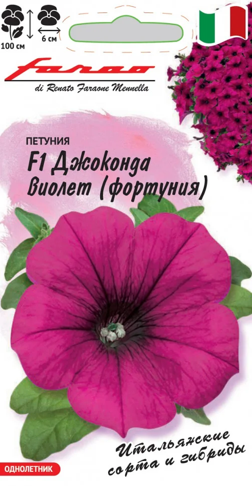 Пируэт фиолетовый с белым