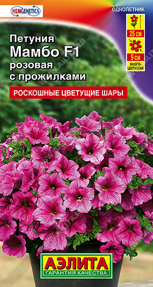 Мамбо Розовая с прожилками