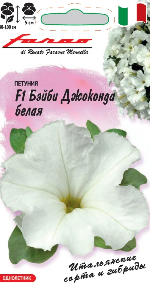 Розовое небо