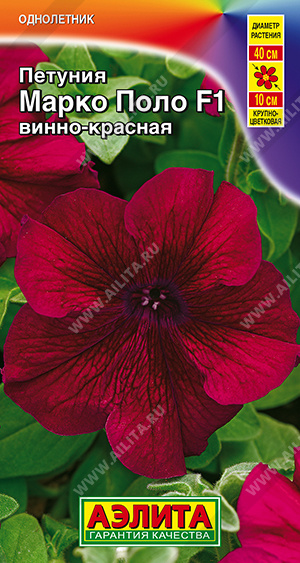 Марко Поло Винно-Красная