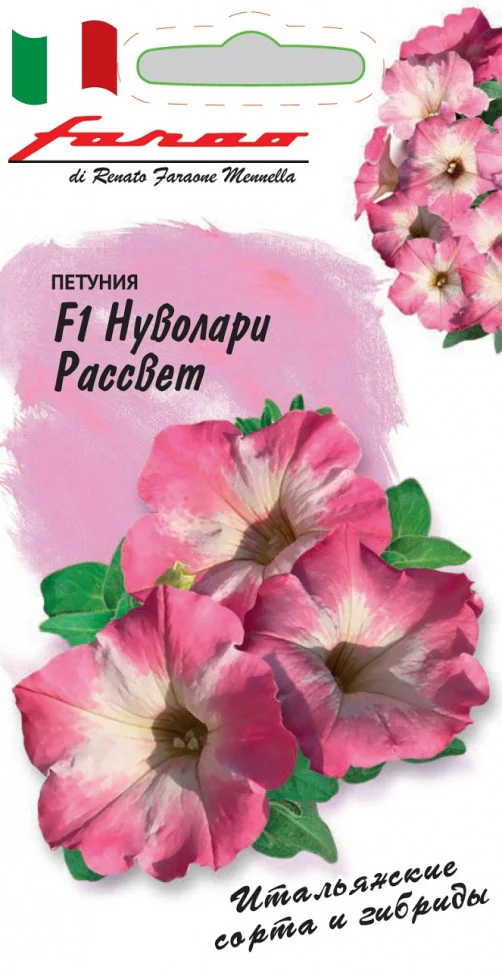 Софистика лайм двухцветный