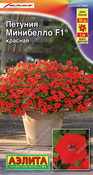 Минибелло Красная