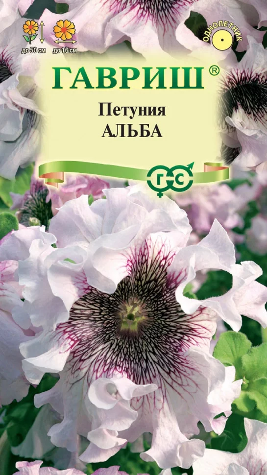 Темно-пурпурная