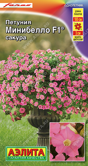 Минибелло Сакура