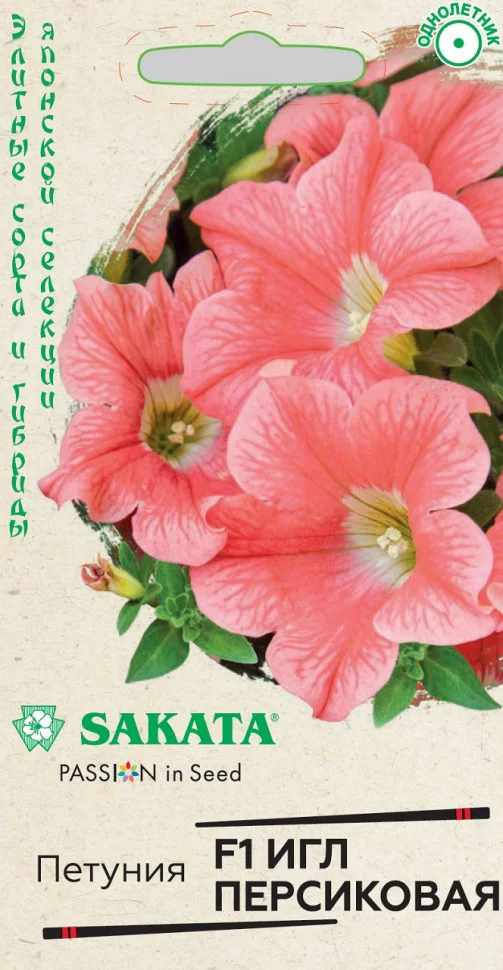 Спящая красавица