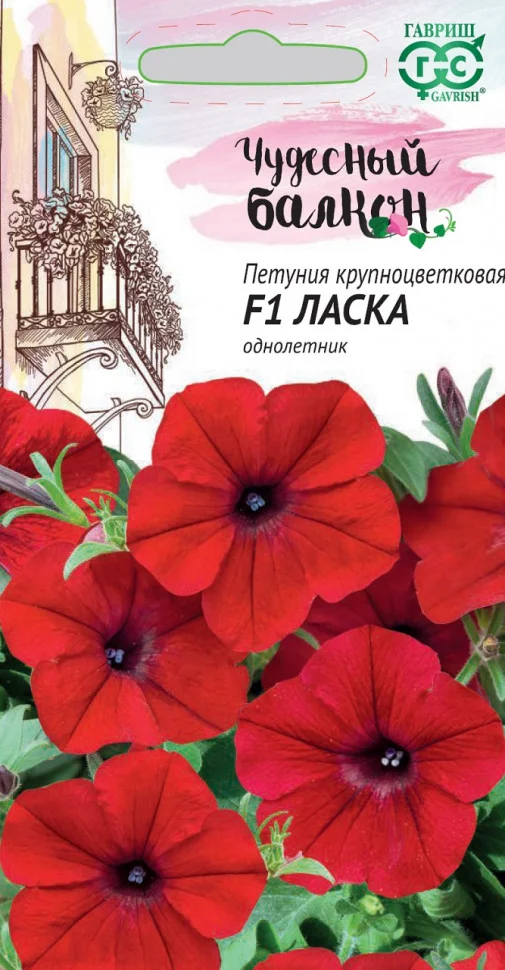 Нуволари Виолет