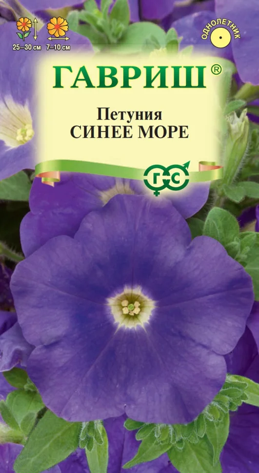 Донна Летняя ночь