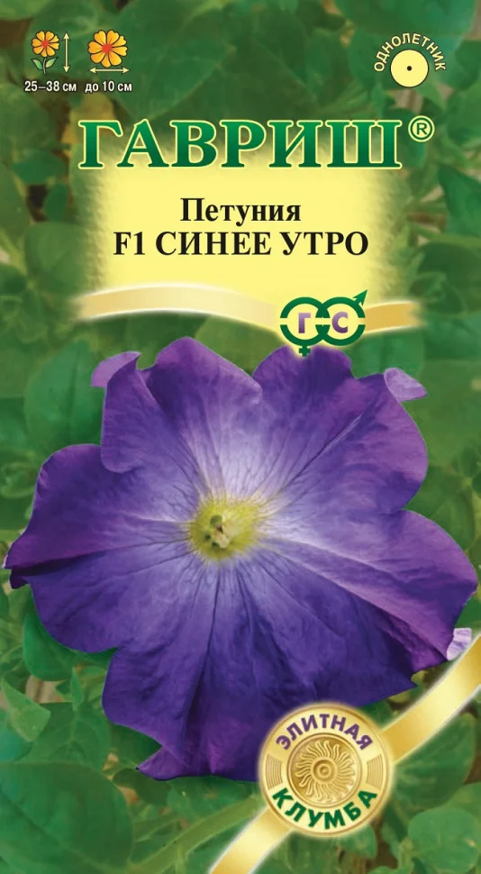 Донна Майское утро