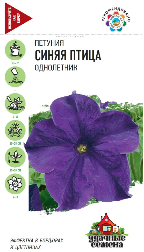 Донна Фиолетовое утро