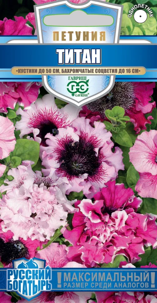 Игл малиновая