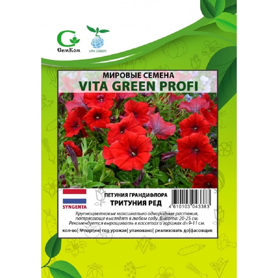 Кан Кан Коралловая звезда