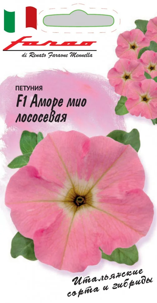 Аморе мио лососевая 