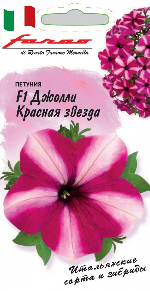 Джолли красная звезда