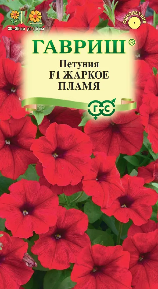 Жаркое пламя