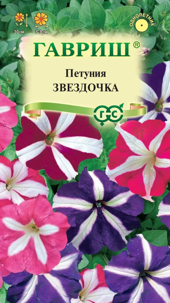 Звездочка