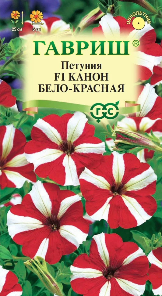 Канон бело-красная