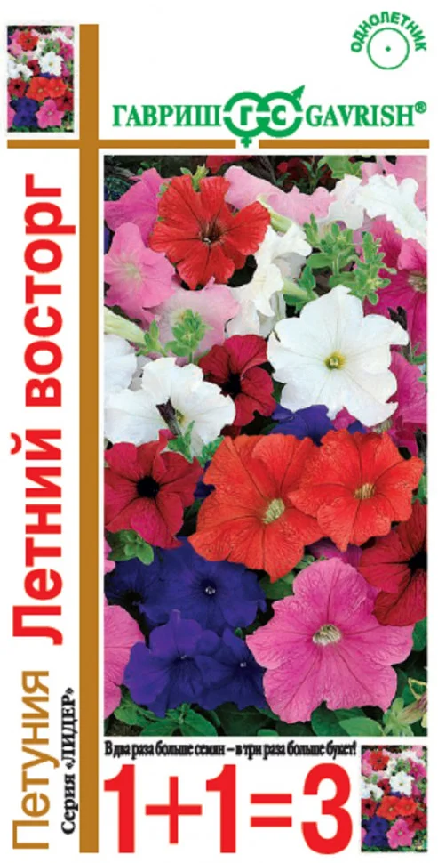 Летний восторг