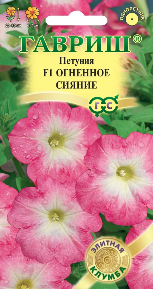 Огненное сияние