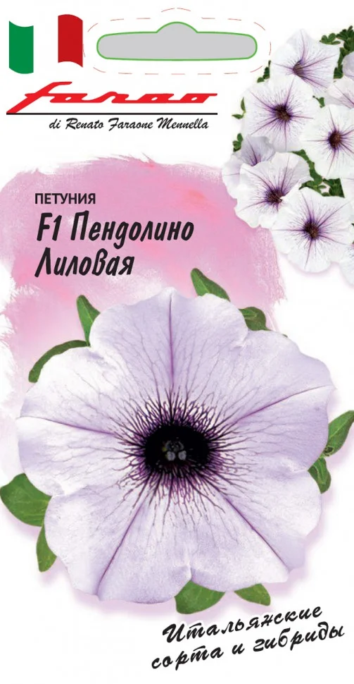 Пендолино лиловая