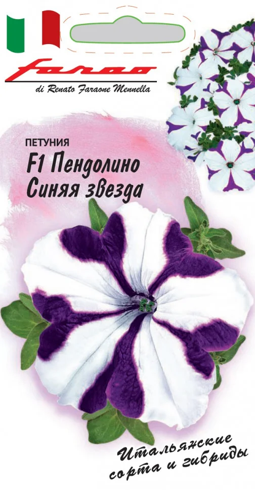 Пендолино синяя звезда