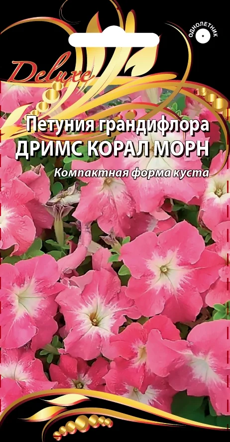 Дримс Корал Морн