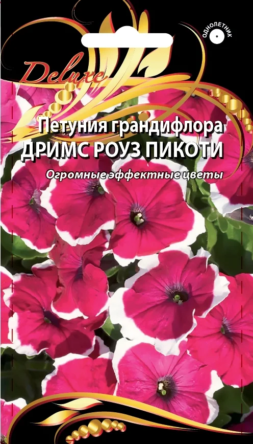 Дримс Роуз Пикоти