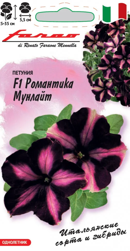 Миниатюра изображения сорта Романтика Мунлайт