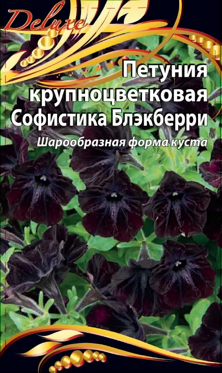 Софистика Блэкберри